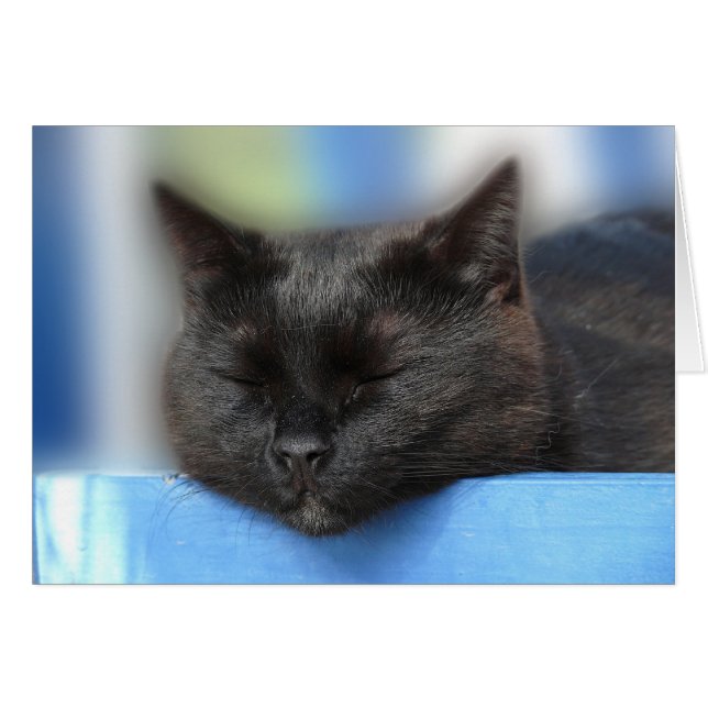 El dormir del gato negro (Anverso (Horizontal))