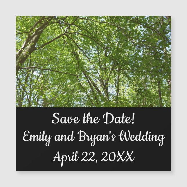 El dosel de la primavera deja la naturaleza verde (Anverso)