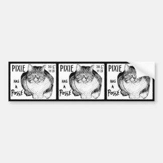 El duendecillo tiene un pegatina de la pandilla