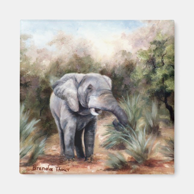 El elefante llega a través del imán (Frente)