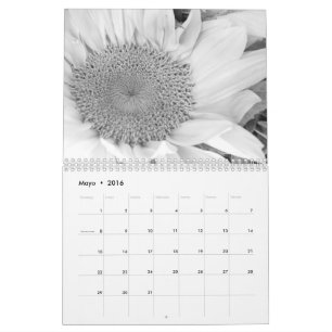 El en del fotografía de la estafa de Calendario