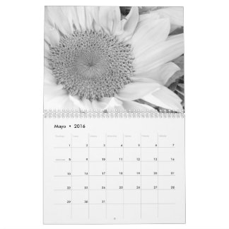 El en del fotografía de la estafa de Calendario