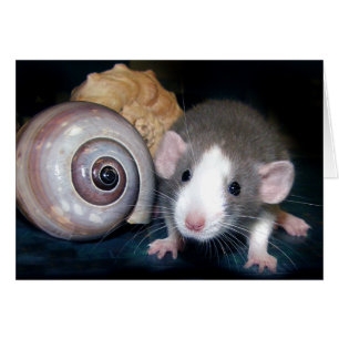 ¡El encanto de la "belleza"!