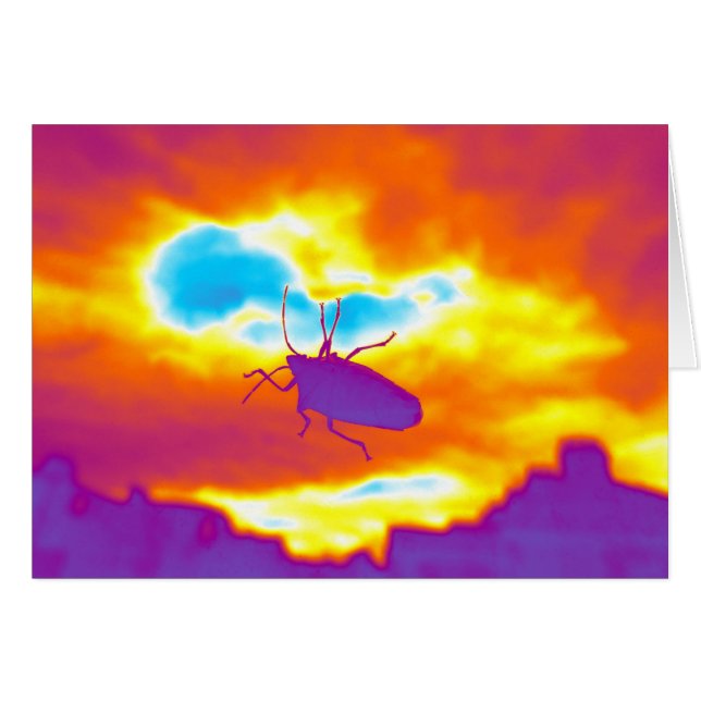 El error psicodélico (Anverso (Horizontal))