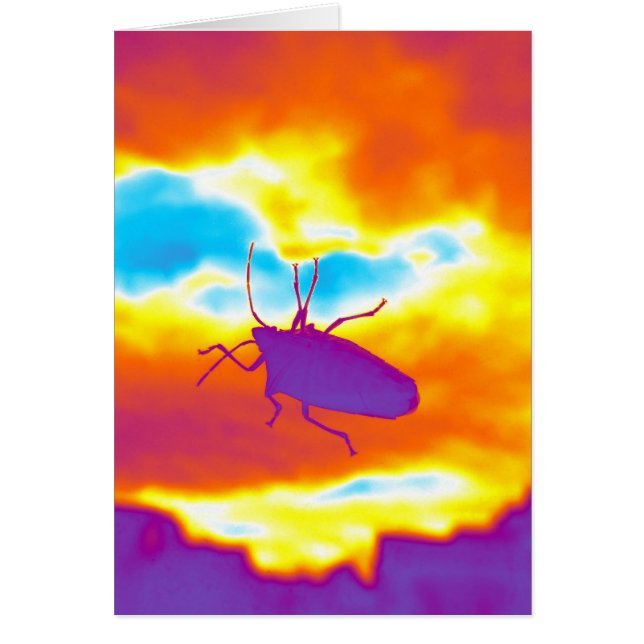 El error psicodélico (Frente)