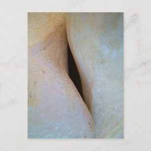 El espacio entre postal