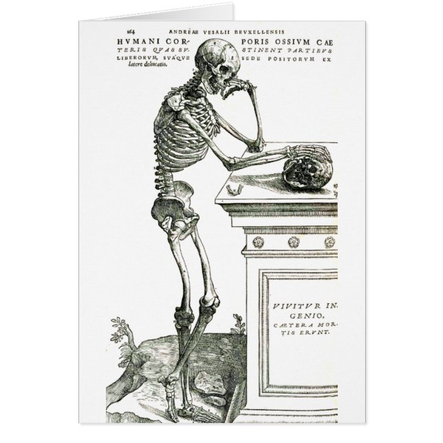 El esqueleto pensativo (Frente)