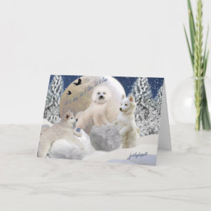 El esquimal americano lo dejó nevar las tarjetas
