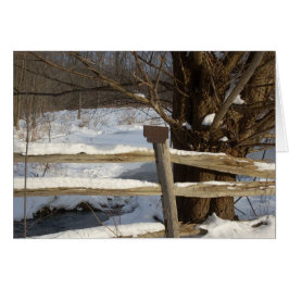 El estanque en invierno