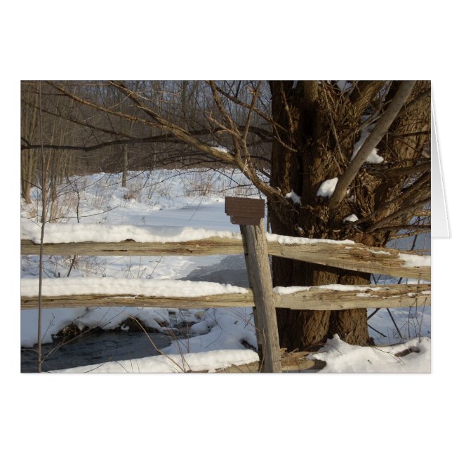 El estanque en invierno (Anverso (Horizontal))