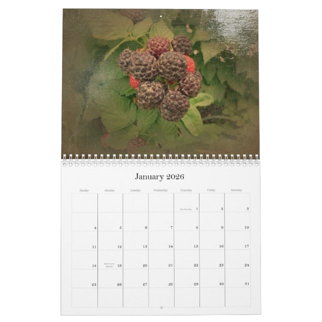 El estilo Antiqued calendario del nuevo jardín (Jan 2026)