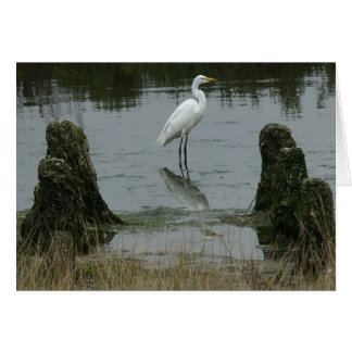 El estuario en las dunas de Pajaro