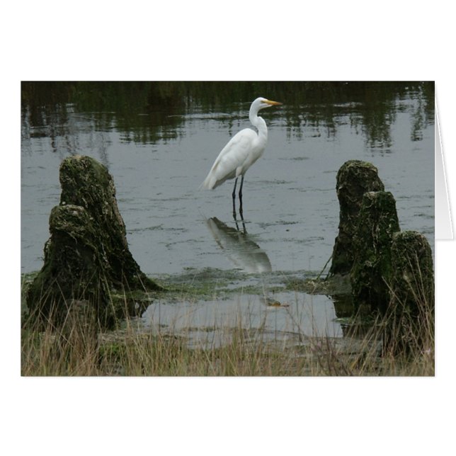 El estuario en las dunas de Pajaro (Anverso (Horizontal))