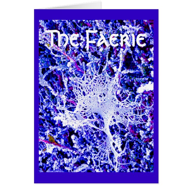 El Faerie - Web de araña (Frente)