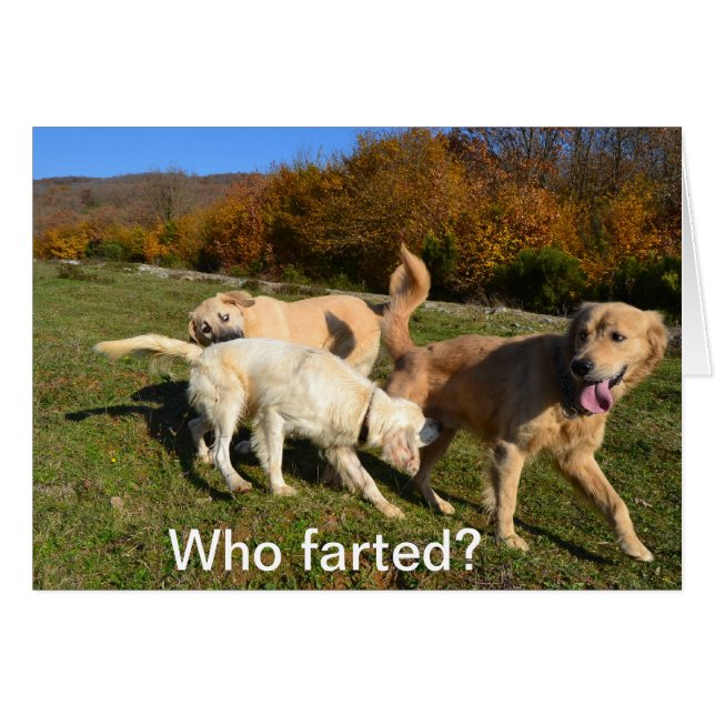 El Farting (Anverso (Horizontal))