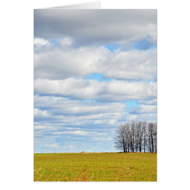 El final de la línea de árbol (Frente)