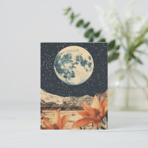 El florecimiento lunar sobre los picos de arena