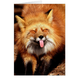 El Fox divertido que lo pega es lengua hacia fuera
