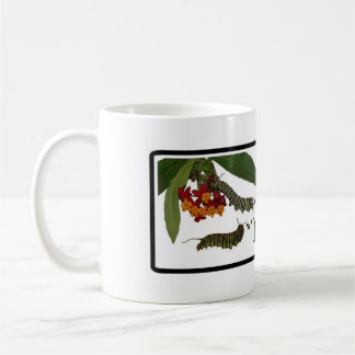 El Frass sucede taza