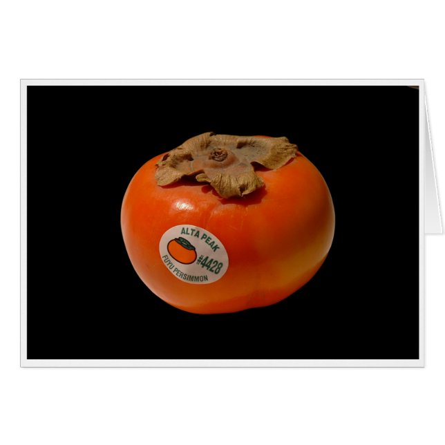 El fuego de Zeus (Anverso (Horizontal))