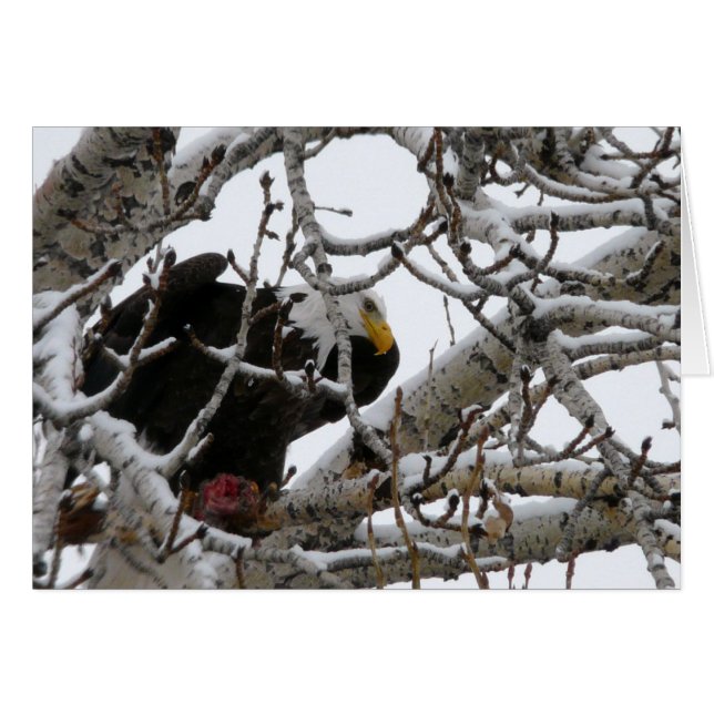 El fuertes sobreviven (Anverso (Horizontal))