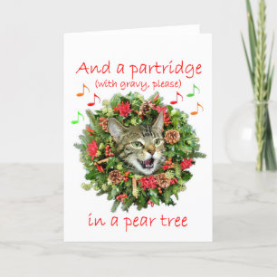 El gatito canta "doce días de navidad "