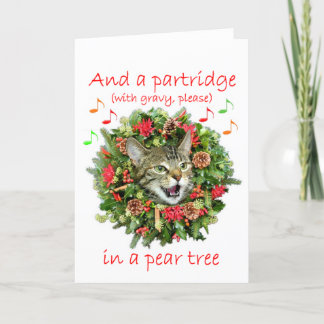 El gatito canta "doce días de navidad "