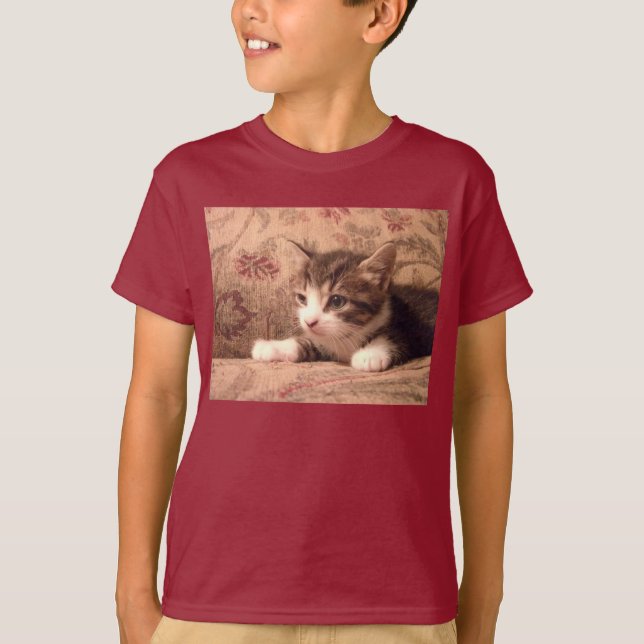 El gatito cardinal embroma la camisa (Anverso)