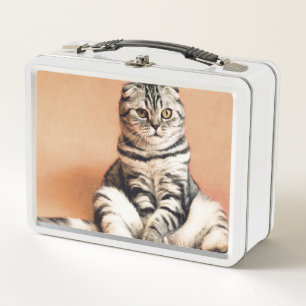 El Gatito Cute Se Extiende