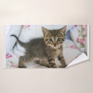 El Gatito De Tabby Cuyo Asombro Parece
