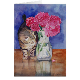 El gato apenas tiene que oler los peonies.