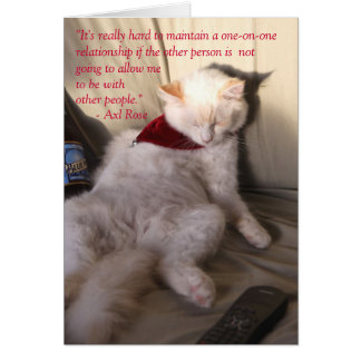 El gato como Axl Subió sobre la monogamia: