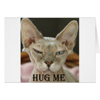 El gato de Hug Me