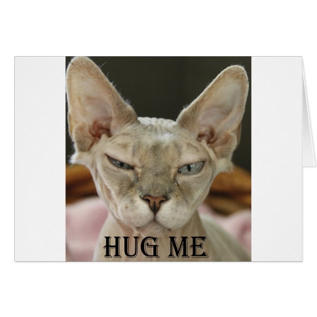 El gato de Hug Me (Anverso (Horizontal))
