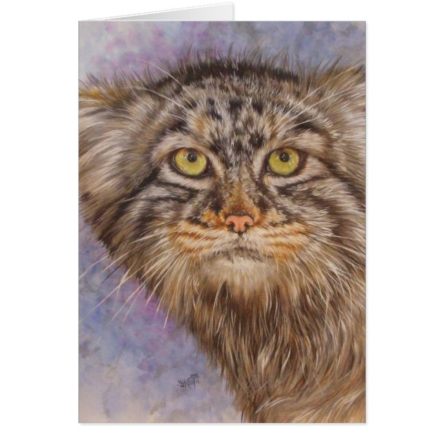 El gato de Pallas de Berry (Frente)