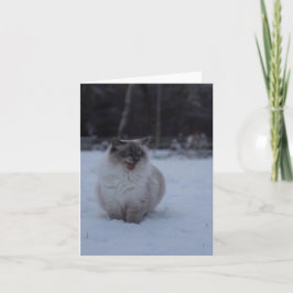 El gato de Ragdoll fluido en la tarjeta de saludo