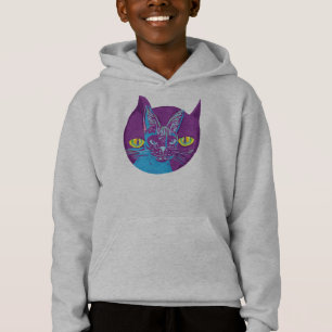 El gato de Schrodinger, artístico