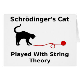 El gato de Schrödinger jugado con teoría de la