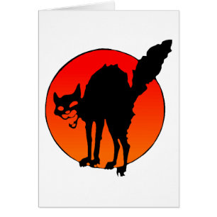 El gato del sindicalista