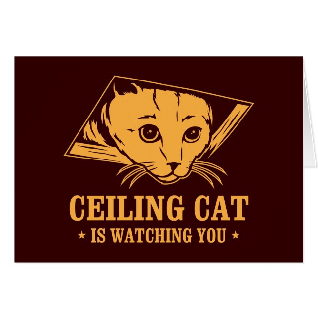 El gato del techo le está mirando (Anverso (Horizontal))