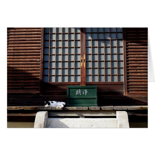 El gato del templo (Anverso (Horizontal))