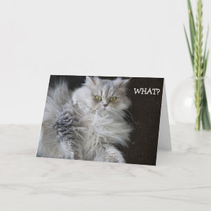 El gato dice "¿QUÉ?" - tarjeta de cumpleaños diver