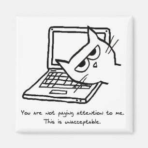 El gato enojado exige la atención - imán diverti