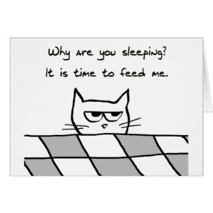 El gato enojado le quiere fuera de cama