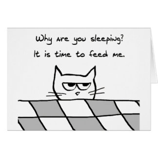 El gato enojado le quiere fuera de cama