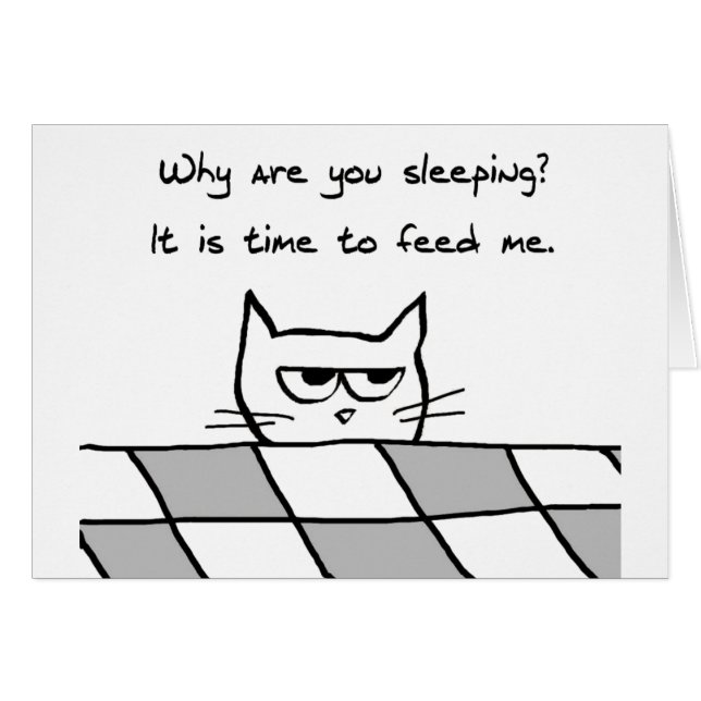 El gato enojado le quiere fuera de cama (Anverso (Horizontal))