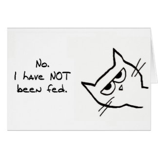 ¡El gato enojado no se ha alimentado!