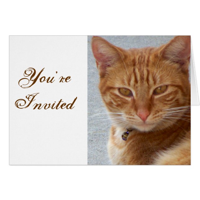 El gato es el amante_ (Anverso (Horizontal))