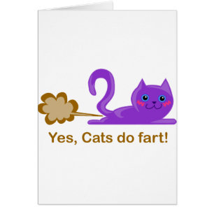 El gato fart - gato el farting