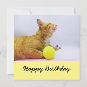 El gato juega la carta de cumpleaños de la pelota